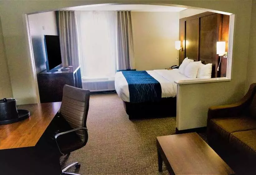 Отель Comfort Inn & Suites Conway