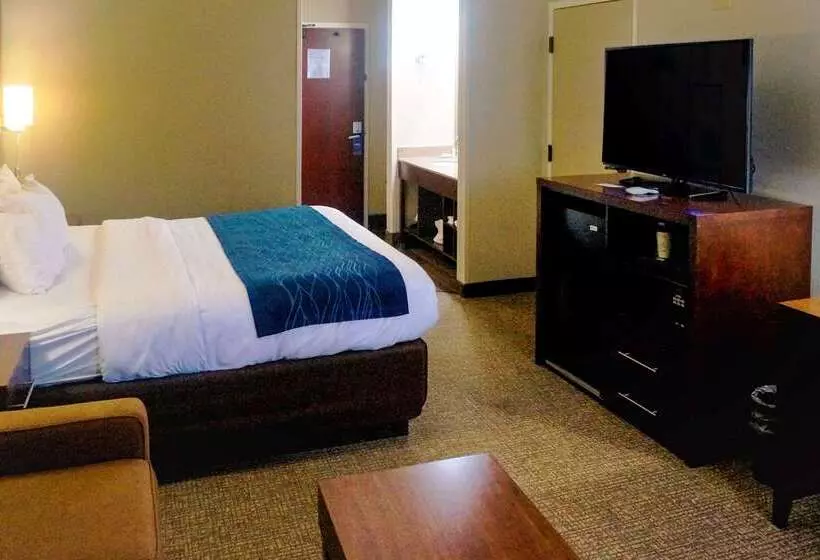 Отель Comfort Inn & Suites Conway