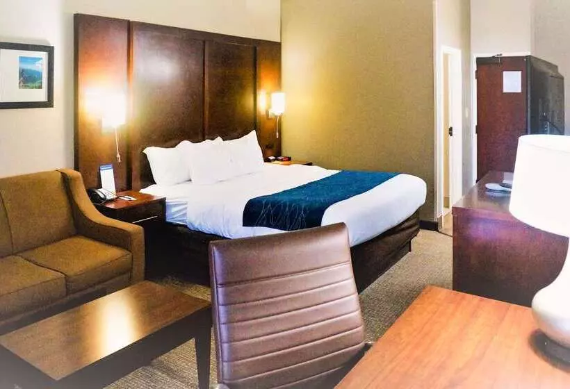 Отель Comfort Inn & Suites Conway