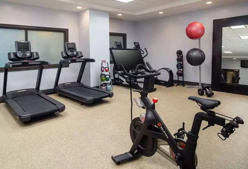 호텔 Embassy Suites By Hilton St. Louis Downtown