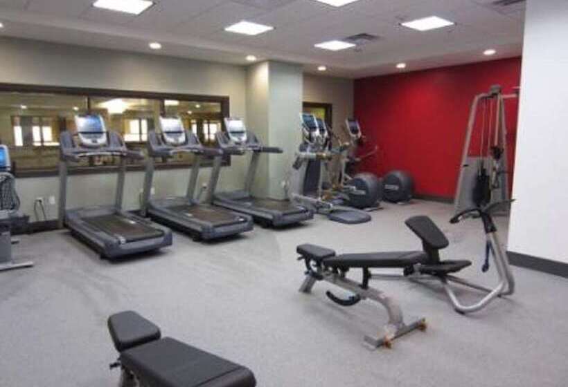 فندق Embassy Suites By Hilton St. Louis Downtown