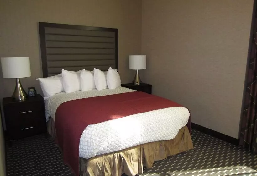 호텔 Embassy Suites By Hilton St. Louis Downtown