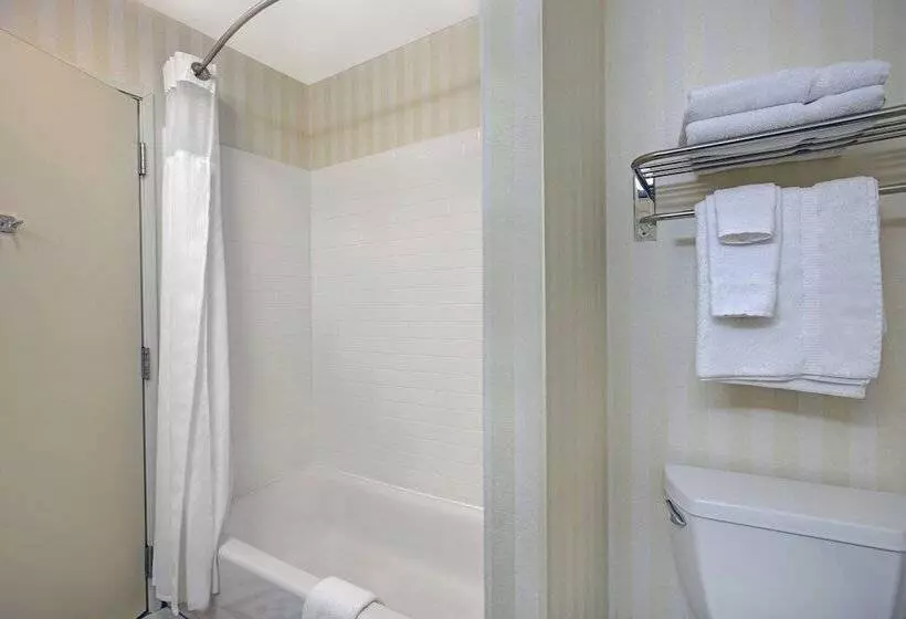 Отель Fairfield Inn And Suites Carlsbad