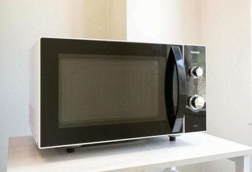 酒店 Hashidate Bay