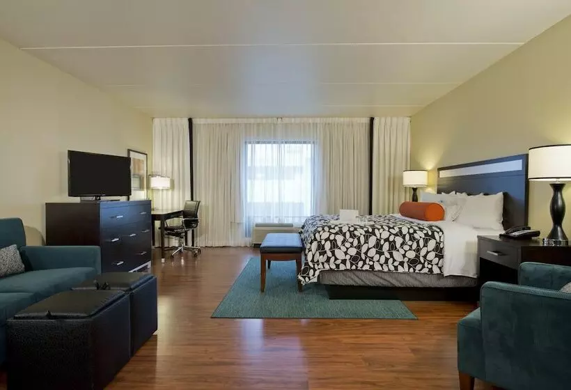 Otel Indigo Atlanta Airport   College Park By Ihg