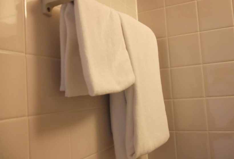 酒店 Marroad Inn Hanno