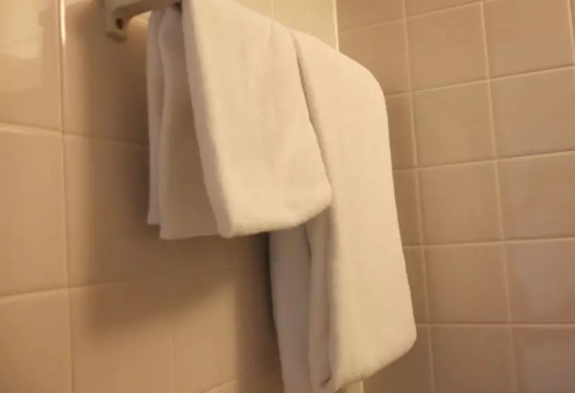 호텔 Marroad Inn Hanno