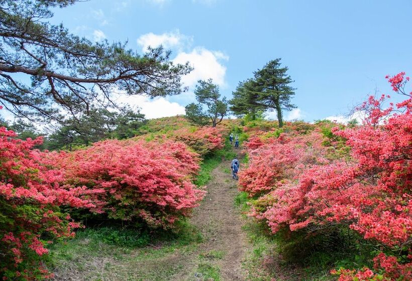 Minami Sanriku Hotel Kanyo