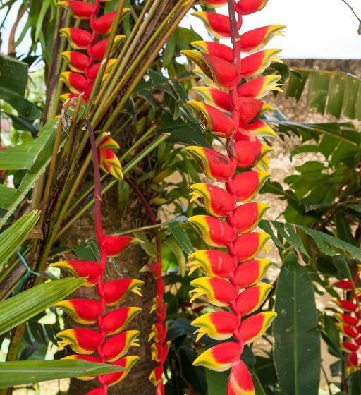 هتل Pousada Camburioca