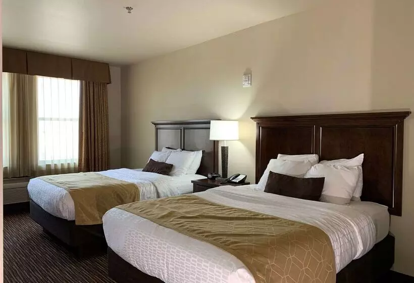 Radisson Hotel River Falls