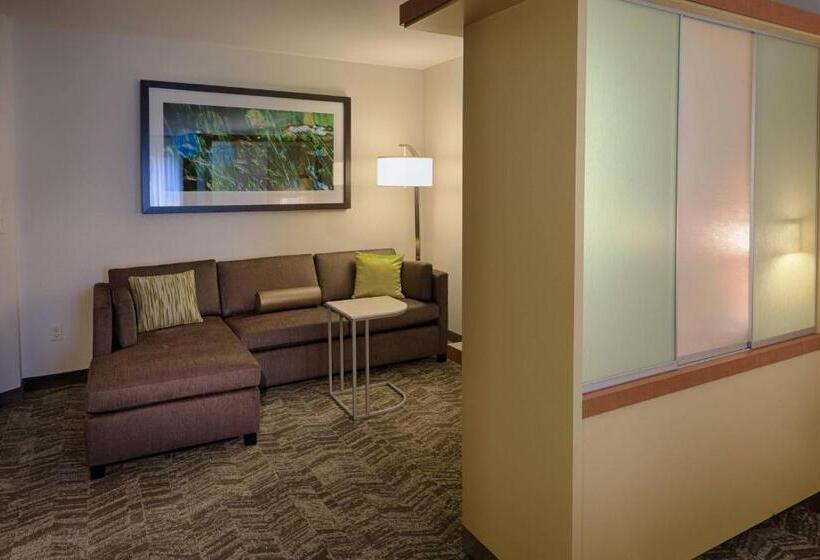 Otel Springhill Suites By Marriott Albany Latham Colonie