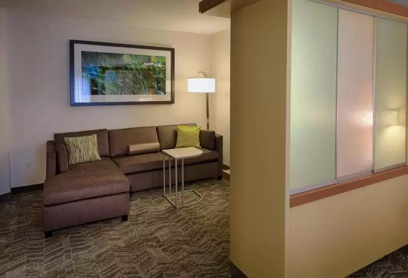 Hotel Springhill Suites By Marriott Albany Latham Colonie