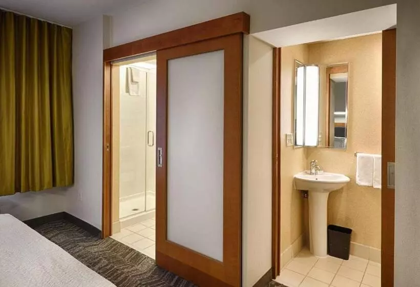 Hotel Springhill Suites By Marriott Albany Latham Colonie