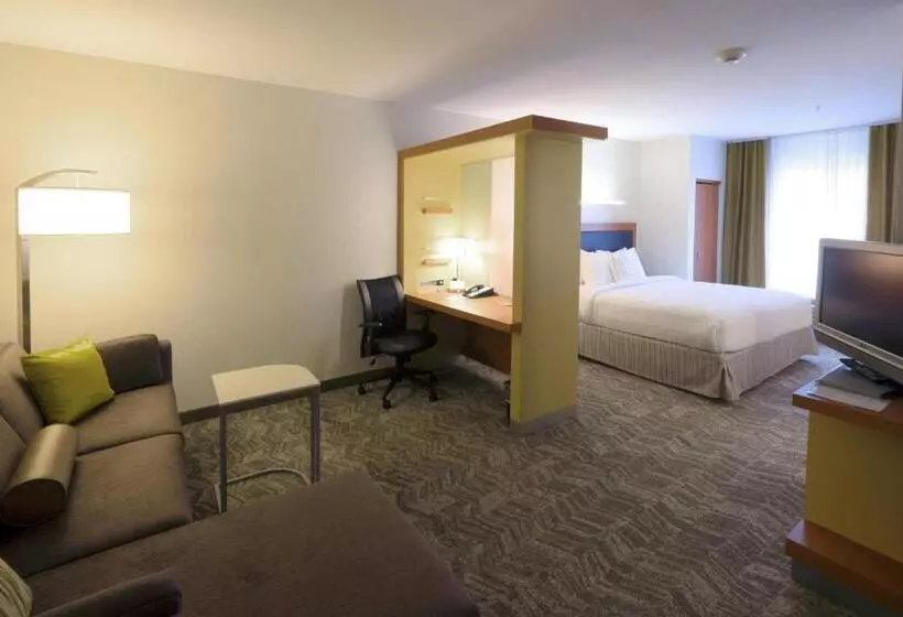 Hotel Springhill Suites By Marriott Albany Latham Colonie