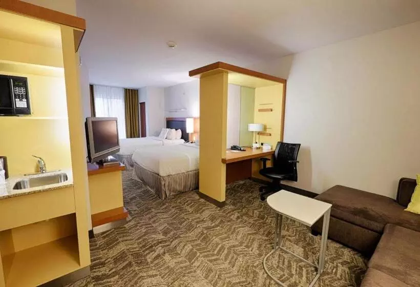 Hotel Springhill Suites By Marriott Albany Latham Colonie
