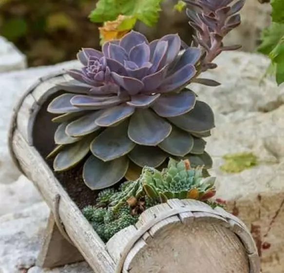 Albergue Peruzovic Rooms 1