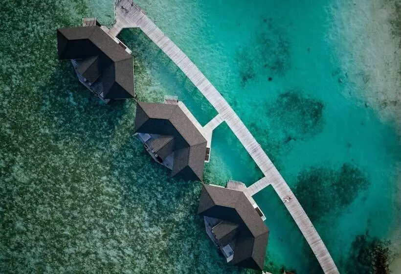 هتل Cinnamon Dhonveli Maldives