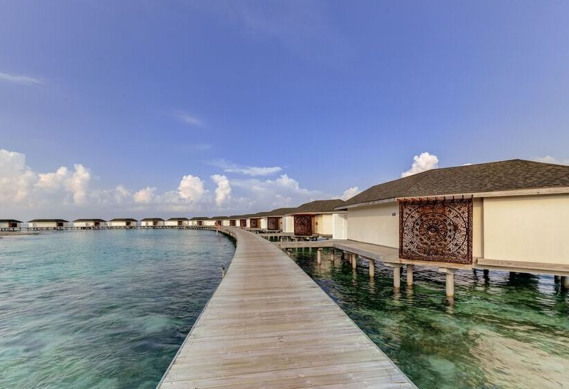 هتل Cinnamon Dhonveli Maldives