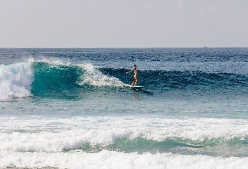 هتل Cinnamon Dhonveli Maldives
