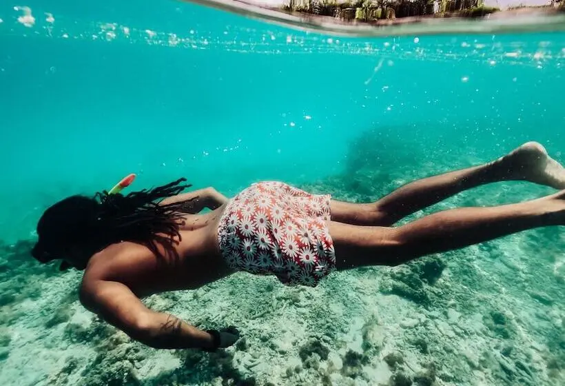 هتل Cinnamon Dhonveli Maldives