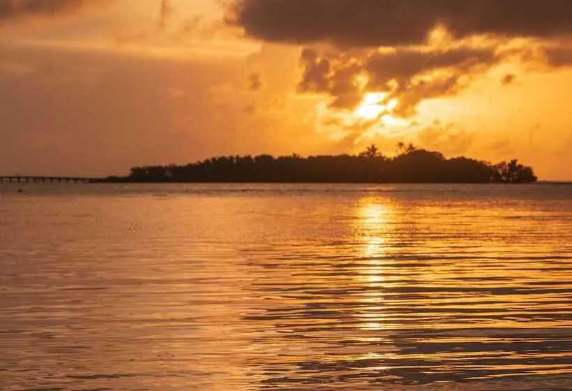 هتل Cinnamon Dhonveli Maldives