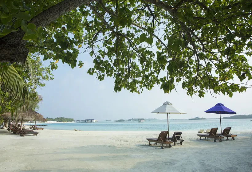 هتل Cinnamon Dhonveli Maldives