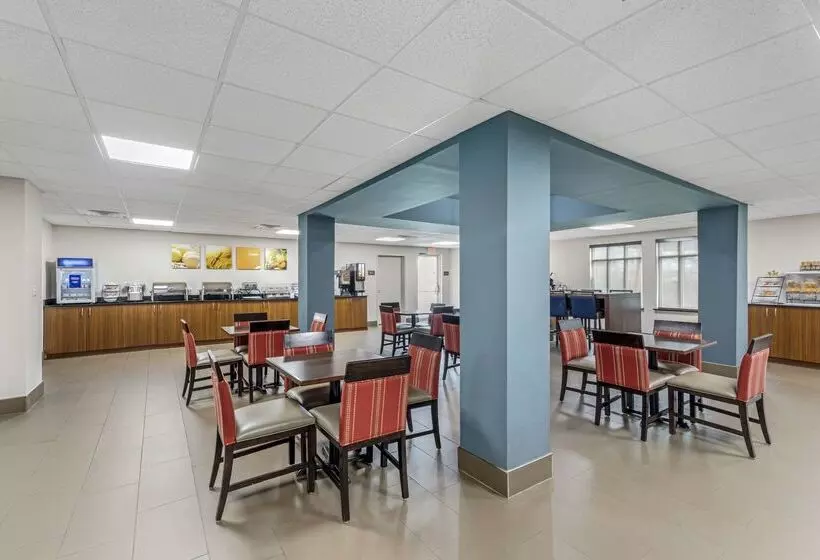 酒店 Comfort Inn Us Hwy 80