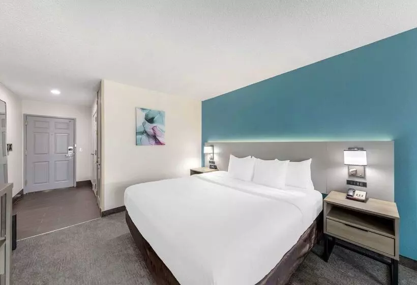 酒店 Comfort Inn Us Hwy 80