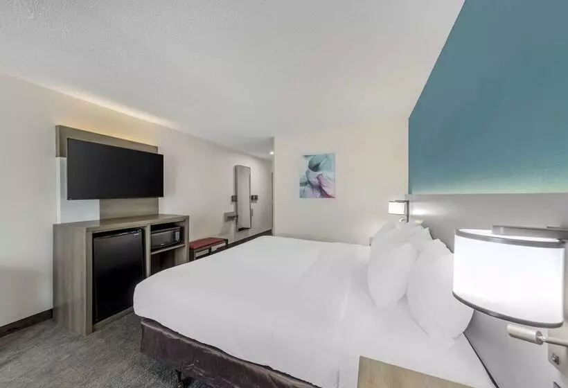 酒店 Comfort Inn Us Hwy 80