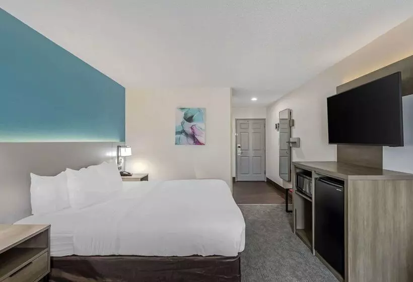 酒店 Comfort Inn Us Hwy 80