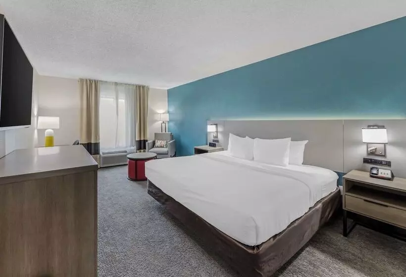 酒店 Comfort Inn Us Hwy 80