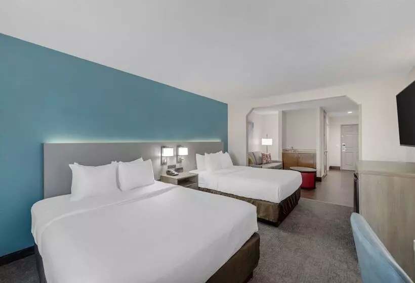 酒店 Comfort Inn Us Hwy 80