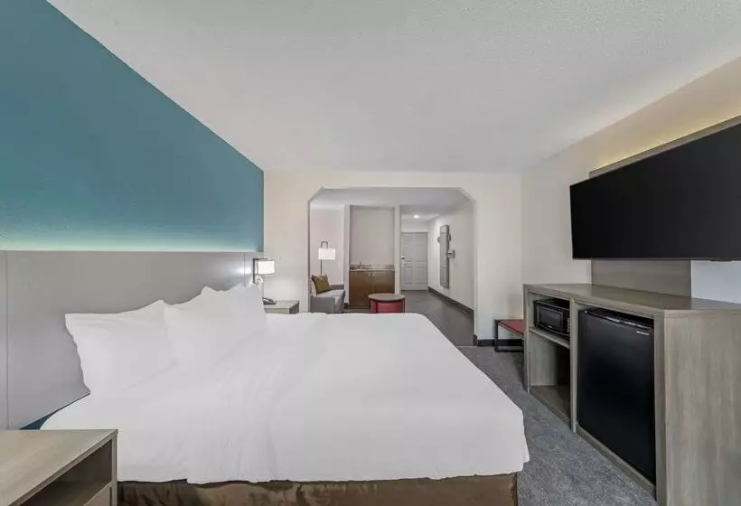 酒店 Comfort Inn Us Hwy 80