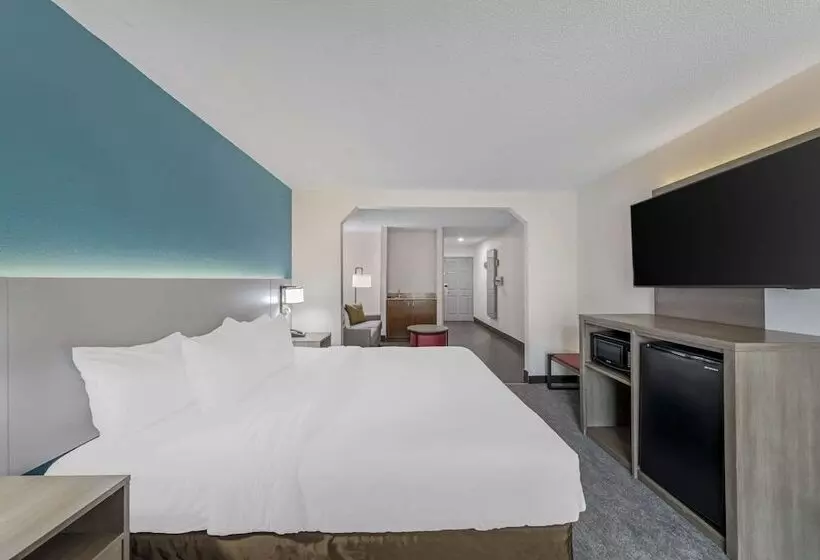 酒店 Comfort Inn Us Hwy 80