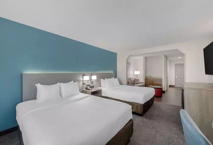 酒店 Comfort Inn Us Hwy 80