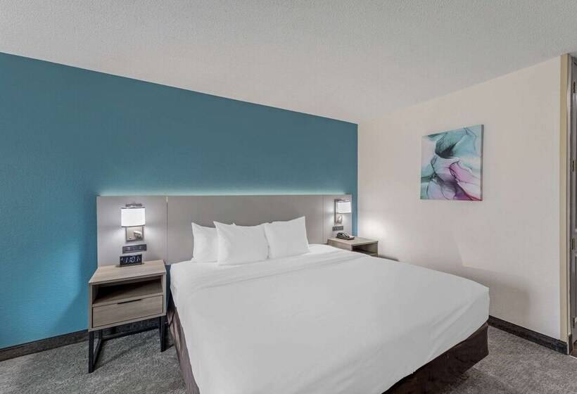 호텔 Comfort Inn Us Hwy 80