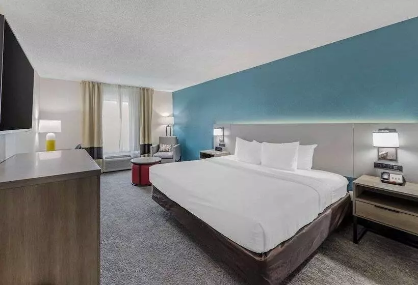 酒店 Comfort Inn Us Hwy 80