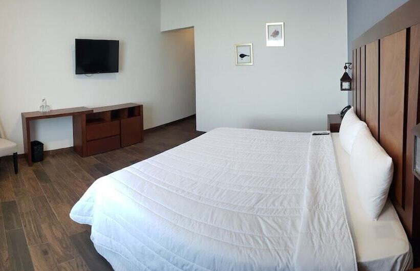 هتل Plaza Matamoros