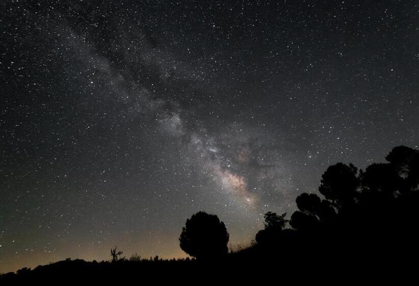 Отель Herdade Do Rio Torto