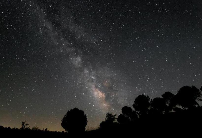 Отель Herdade Do Rio Torto