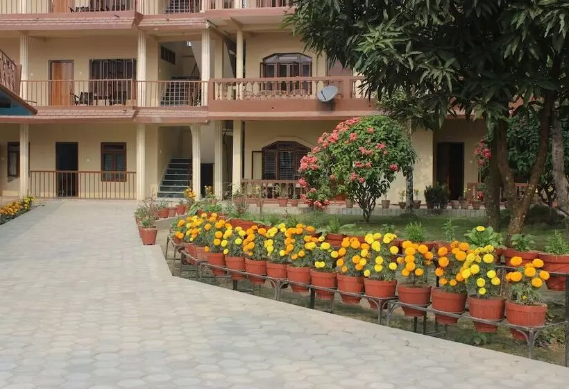 هتل Jungle Wildlife Camp