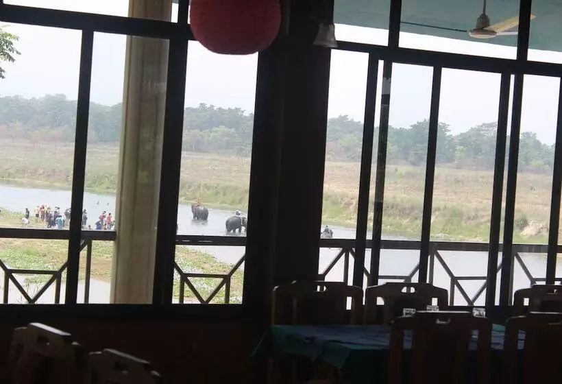 هتل Jungle Wildlife Camp