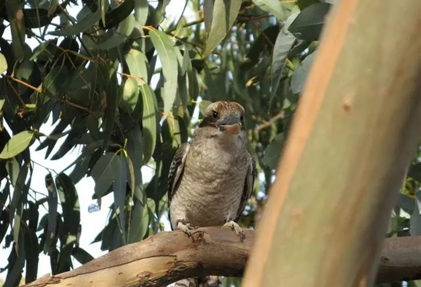 The Open House Bed & Breakfast