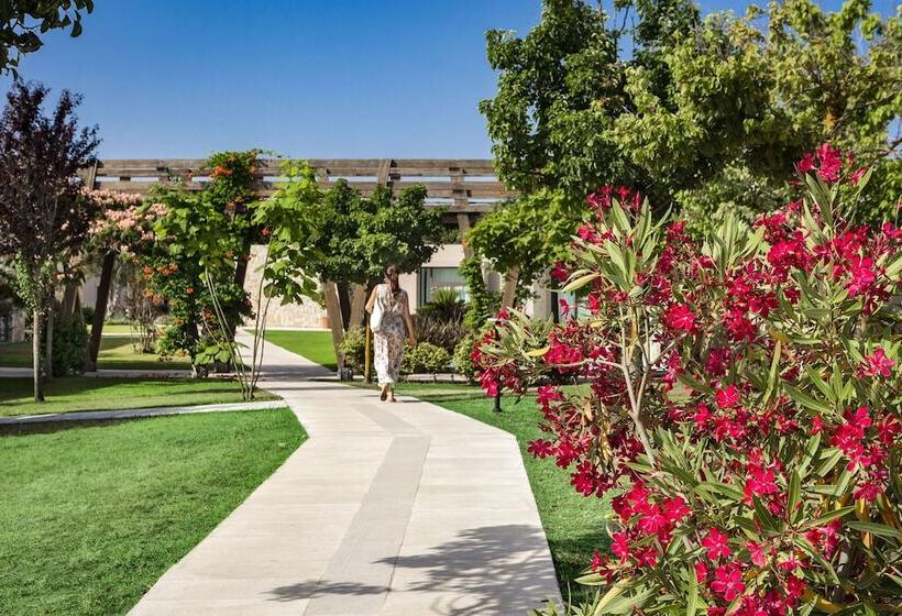Baglioni Resort Sardinia   The Leading Hotels Of The World