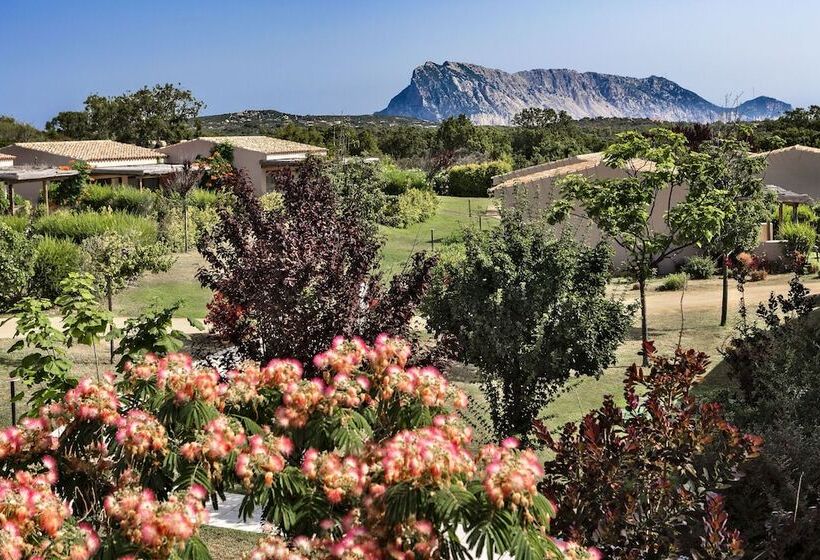 Baglioni Resort Sardinia   The Leading Hotels Of The World