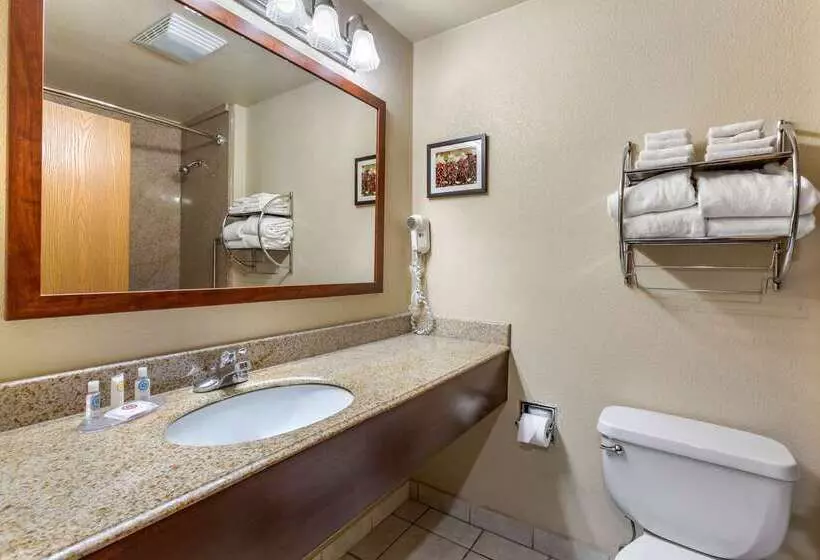 בית מלון כפרי Comfort Inn & Suites