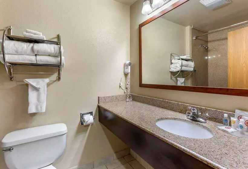 בית מלון כפרי Comfort Inn & Suites