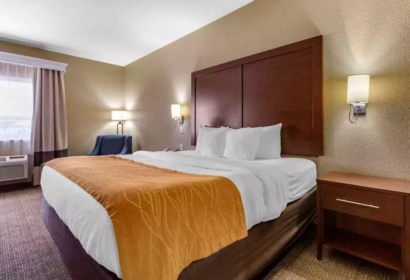 בית מלון כפרי Comfort Inn & Suites