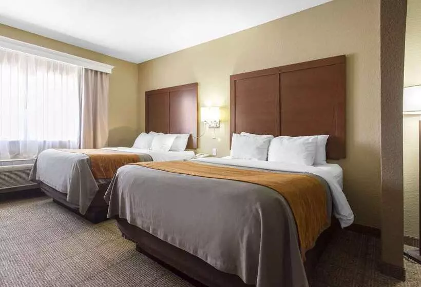 בית מלון כפרי Comfort Inn & Suites