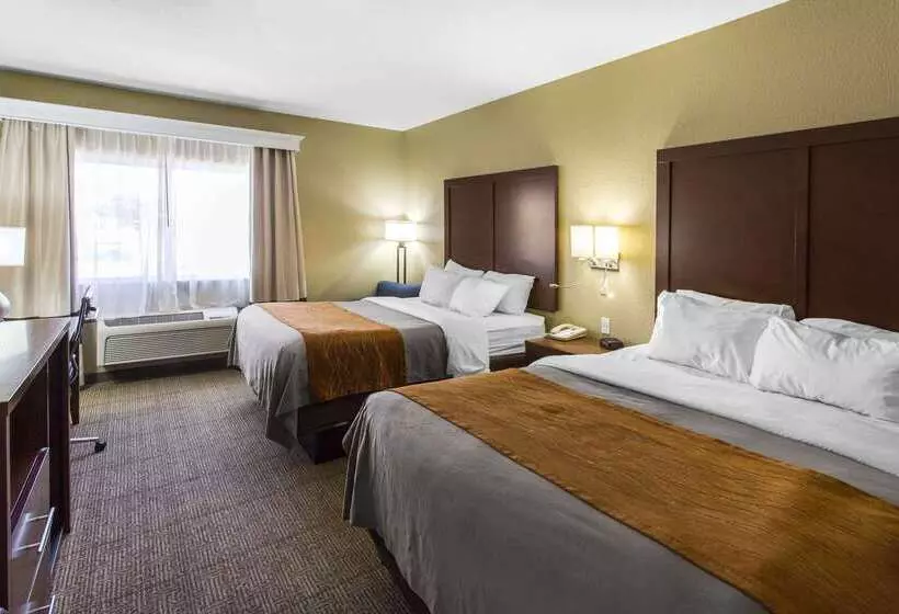 בית מלון כפרי Comfort Inn & Suites